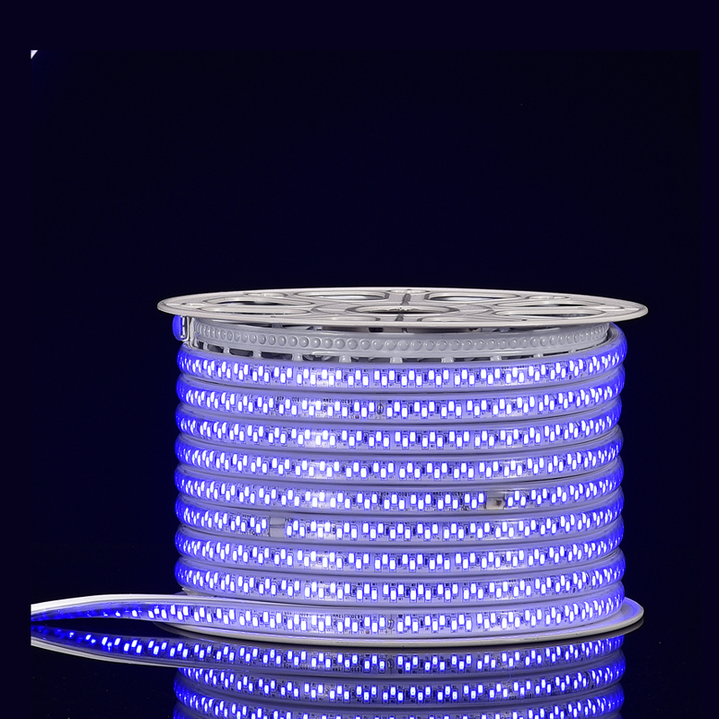 CROSS DOUBLE ROWS 5730 120L 12mm BLUE LED STRIP LIGHT