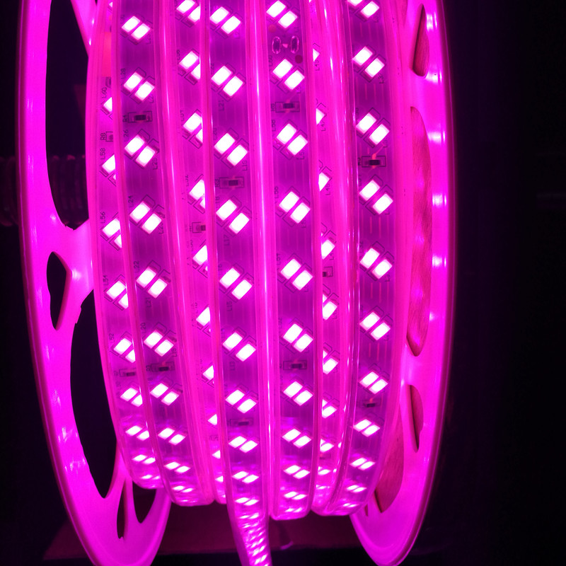 BEVEL DOUBLE ROWS 5730 120L 12mm PINK LED STRIP LIGHT